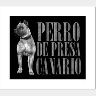 Perro de Presa Canario - Dogo Canario Posters and Art